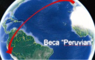 Ingesa Beca Peruvian